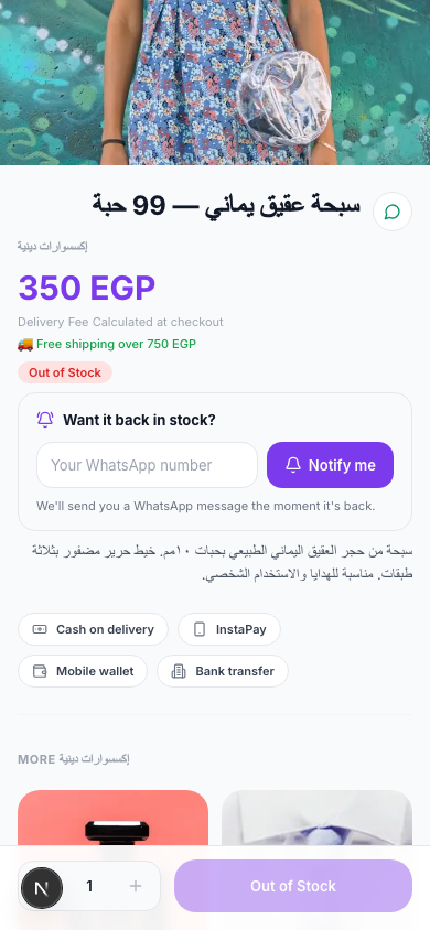 Recover Lost Sales — Abandoned Cart Reminders & Back-in-Stock Alerts